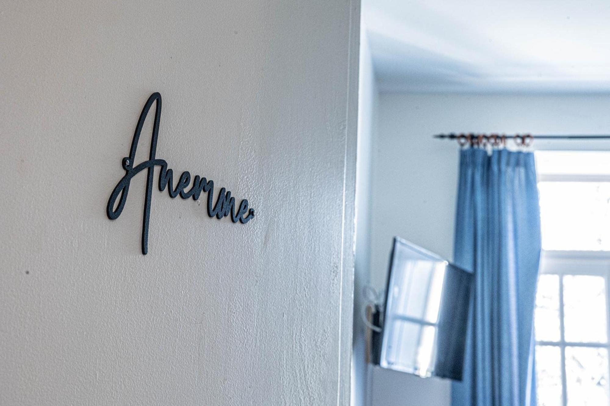 Villa Les Mimosas - 3 Chambres D'Hotes Plassac  Ngoại thất bức ảnh